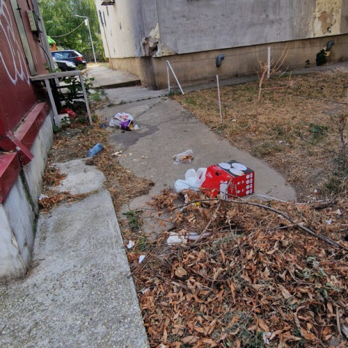 Mizeria de pe străzile municipiului, o realitate deranjantă