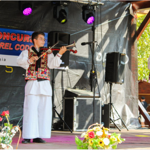 Festivalul-Concurs al Viorii cu Goarna "Dorel Coroban" a avut loc la Roșia