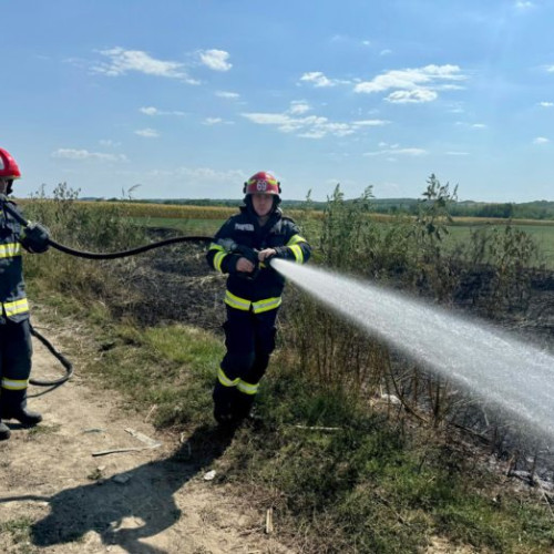 Pompierii bățosăneni intervin rapid la trei incendii în aceeași zi