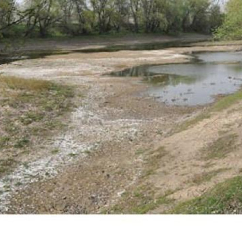 Seceta prelungită produce efecte devastatoare în județul Botoșani