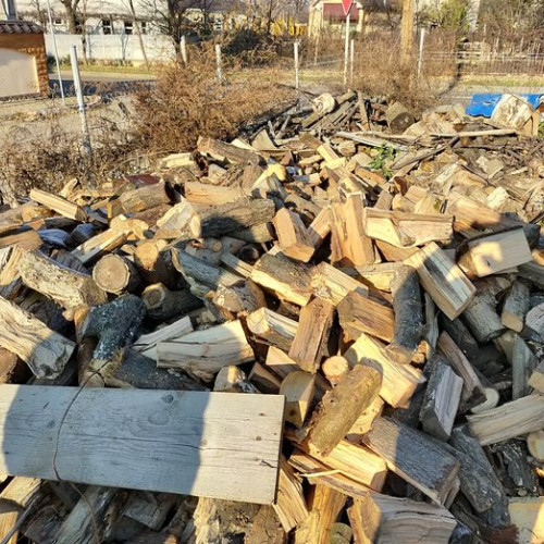 Tânăr din Suceava prins cu lemne fără documente, marfă confiscată