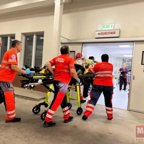 Victimă a unui atac de albine, un bărbat din Leorda ajunge la spital în stare gravă