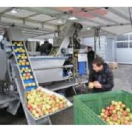 Firma din Botoșani obține fonduri europene pentru o nouă linie de producție de sucuri de fructe