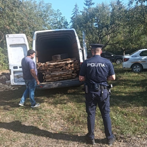 Acțiuni împotriva tăierilor ilegale de arbori în Botoșani