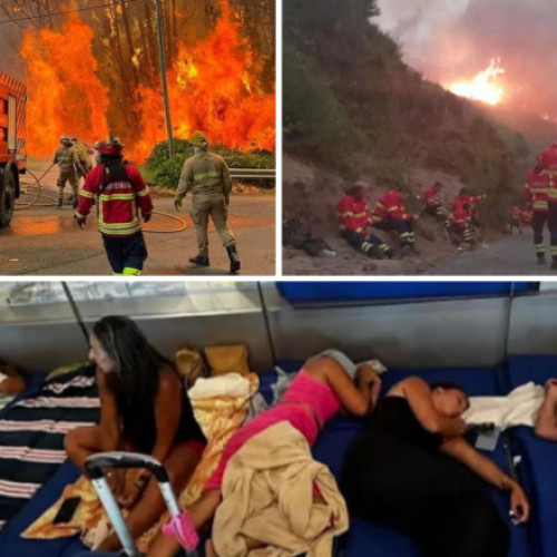 Incendiu devastator pe insula Madeira: peste 4.400 de hectare distruse