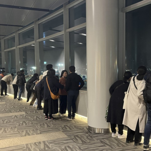 Intârzieri masive la aeroportul din Japonia din cauza dispariției unei perechi de foarfece