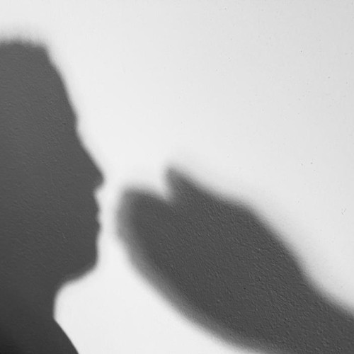 Violent incident în Roșia de Secas: un bărbat agresiv, pus sub protecția legii