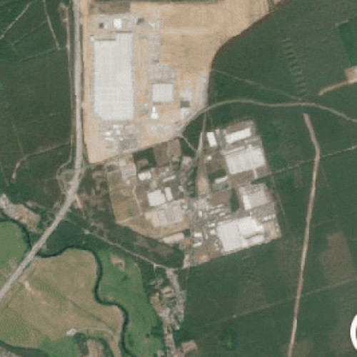 Defrișarea a aproape 500.000 de copaci pentru construcția gigafabricii Tesla din Germania