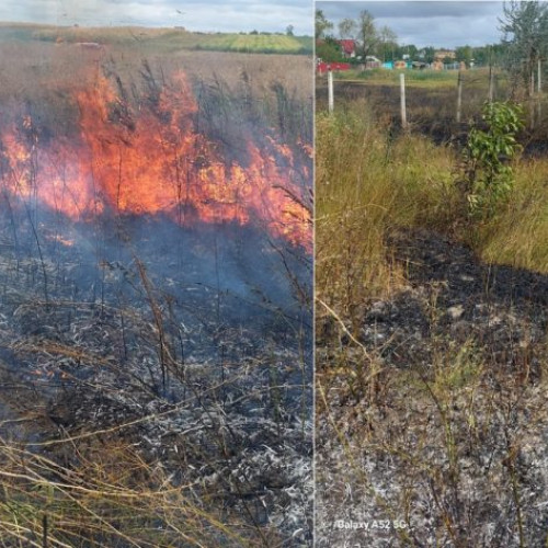 Incendiu de vegetație la Victoria: O casă și un lan de porumb au fost amenințate