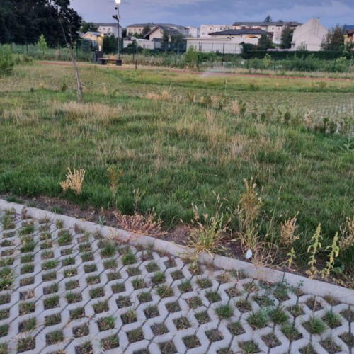 Parcul de pe strada Varnav din Botoșani lăsat în paragină de autorități