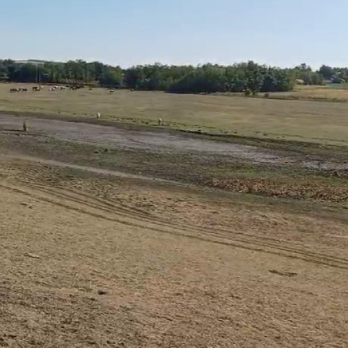 Judetul Botoșani, afectat sever de secetă: oamenii și animalele se confruntă cu lipsa apei