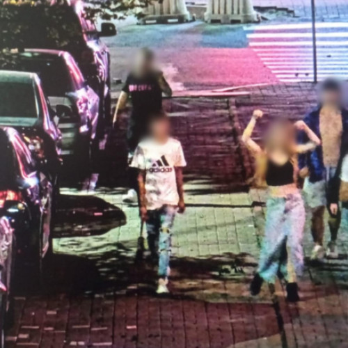 Tineri botosaneni amendați pentru vandalism și tulburarea ordinii publice