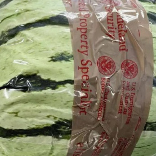 Captură impresionantă de metamfetamină la granița dintre SUA și Mexic