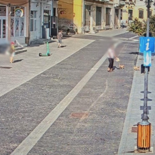 Amenzi pentru proprietarii de câini la Botoșani