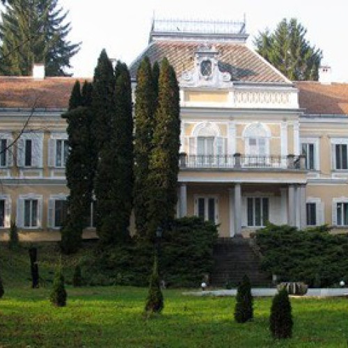 Conferință despre omul preistoric la Muzeul Național al Carpaților Răsăriteni