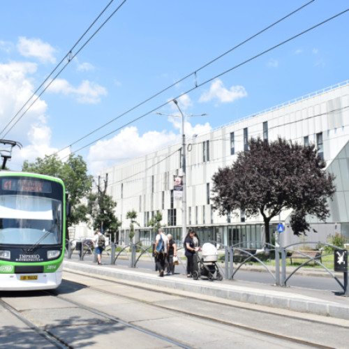 Linii de transport public prelungite pentru meciul FC Dinamo București - Universitatea Craiova