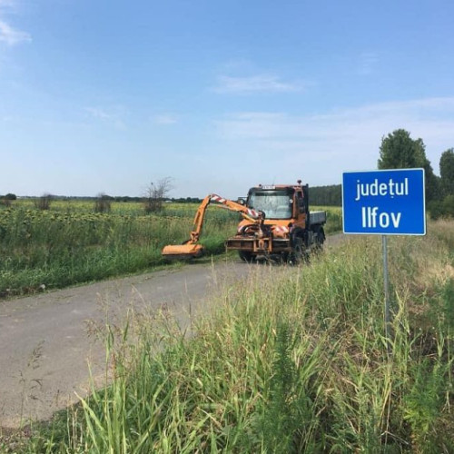 Ambrozia, un pericol pentru alergicii de sezon