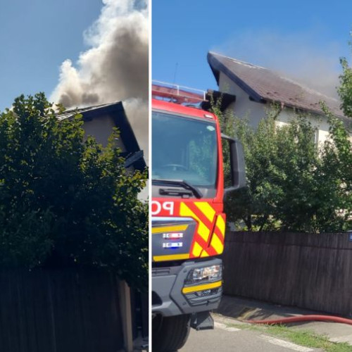 Incendiu devastator pe Calea Moinesti în comuna Margineni