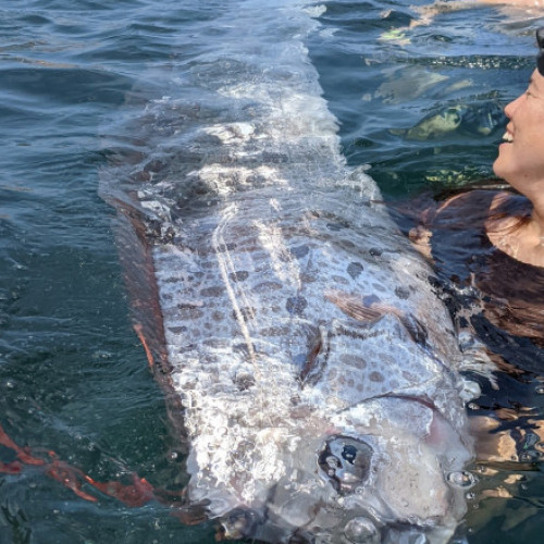 &quot;Peștele apocalipsei&quot; găsit pe o plajă din California, la scurt timp după un cutremur