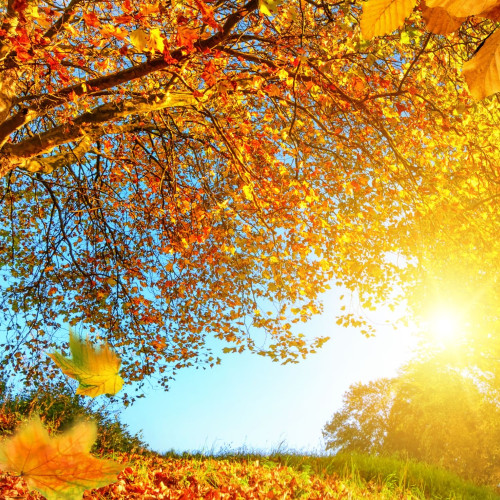 Meteorologii ANM prognozează vreme de plajă în septembrie