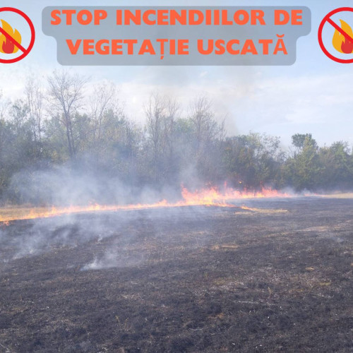 Situație alarmantă în Dâmbovița: 9 incendii de vegetație în 24 de ore