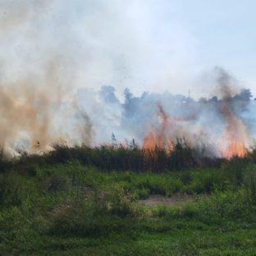 Incendiu de vegetație în Suharau pune în pericol lanurile de porumb
