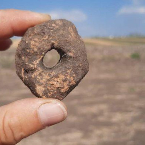 Activitate intensă la şantierul arheologic de la Stauceni-Holm: Descoperiri semnificative