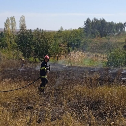 Incendiu în localitatea Flămânzi: O casă și o livadă de cătină, în pericol