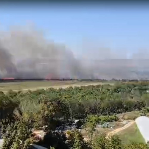 Incendiu de vegetație în apropierea hotelului din stațiunea Olimp