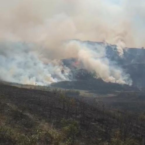 Incendiu de vegetație în comuna Gura Caliței, peste 100 ha afectate