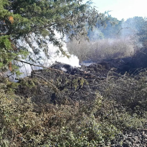 Intervenție de amploare la un incendiu de vegetație în județul 23 August