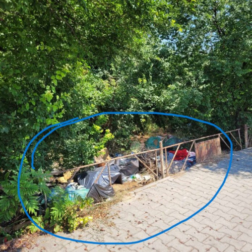 Apel pentru curățenia străzilor din Giurgiu