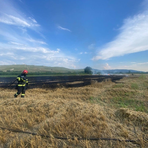 Incendiu la Lunca Mureșului, pompierii din Aiud intervin