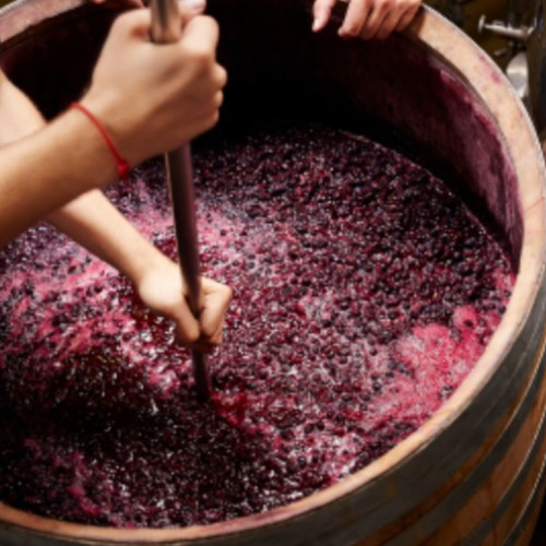 Stefan cel Mare, mare iubitor de vinuri moldovenești