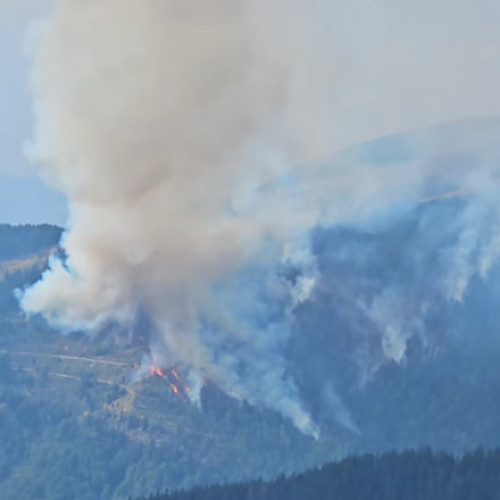 Incendii de pădure în județul Gorj, zone montane afectate