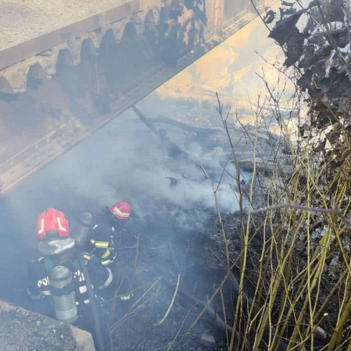 Incendiu la Lunca Ariesului, intervenție rapidă a pompierilor din Campeni