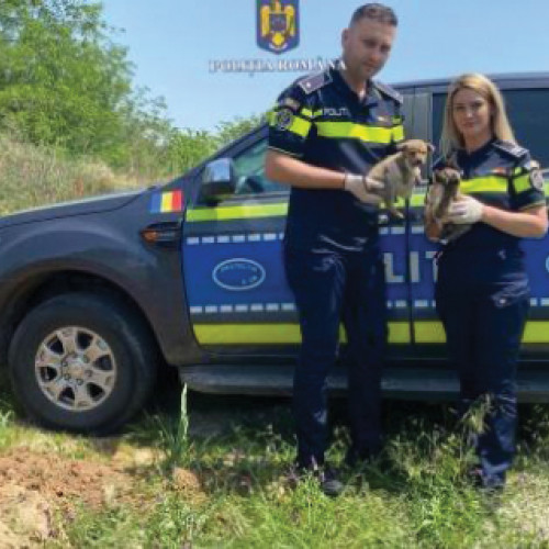 Informații despre antrenamentul datelor până în octombrie 2023