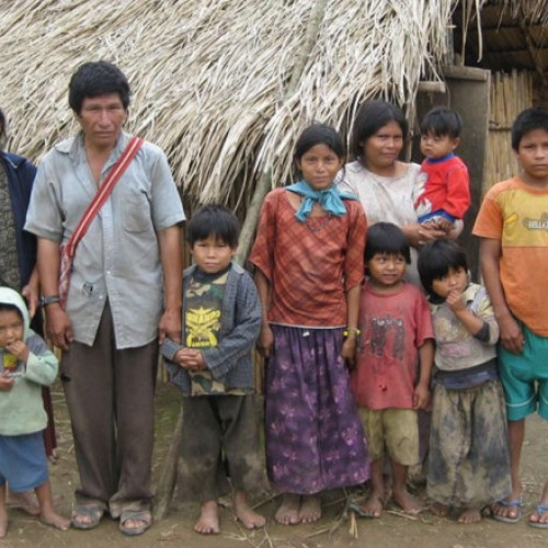 Tsimane: comunitatea din Amazon care imbatraneste mai lent