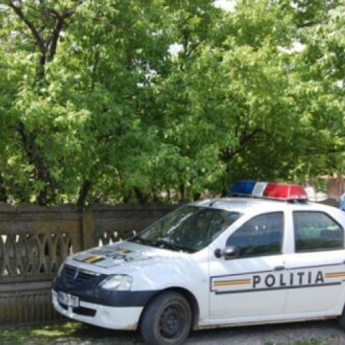 Doi tineri din Epureni, reținuți pentru tulburarea ordinii publice și violență