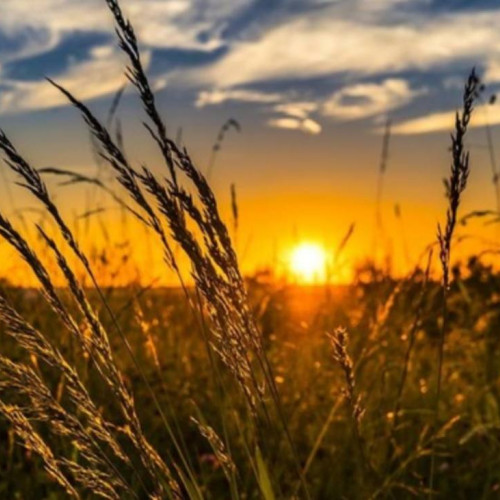 Caniculă îndelungată în România, cu temperaturi de peste 35 de grade Celsius