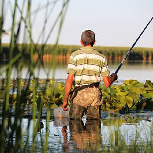 Interdicții pentru pescuit în Delta Dunării începând de luni