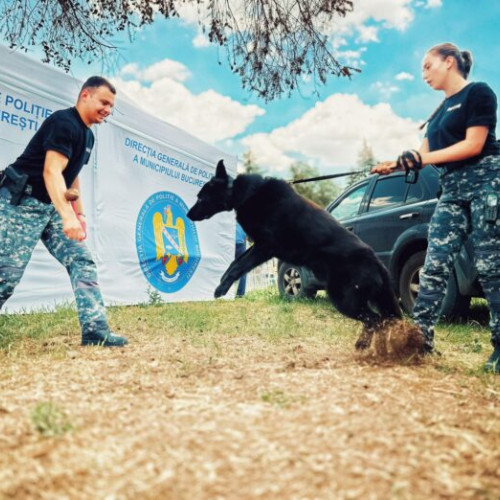 Ziua Internațională a Câinelui: Poliția Capitalei laudă aportul patrupedelor