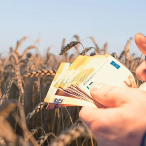 Fermierii pot accesa subvenții și împrumuturi cu garanții de stat