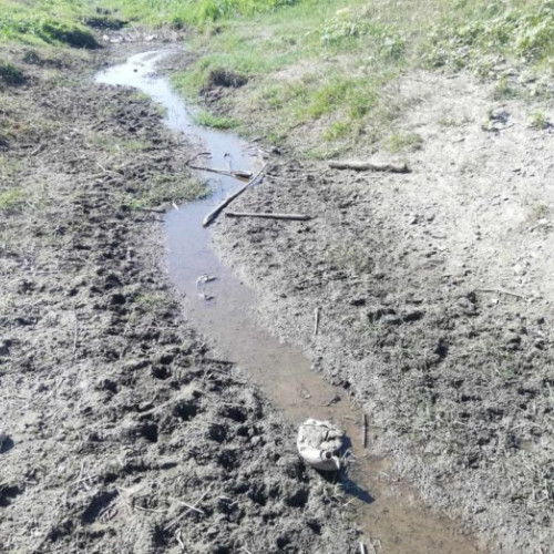 Criza apei în România: Județul Botoșani resimte cel mai acut efectele secetei