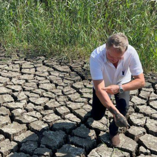 Judetul Botoșani se confruntă cu o secetă extremă