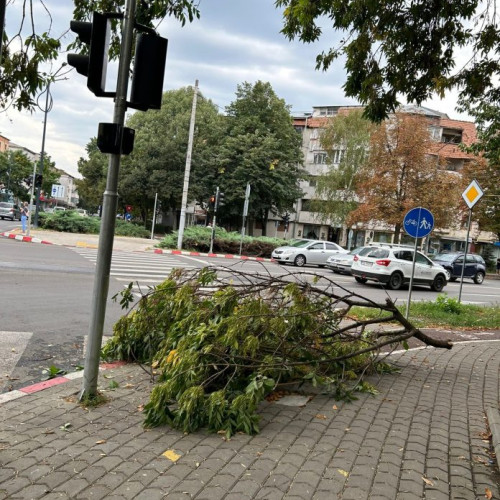 Furtuna la Focșani cauzează probleme în trafic