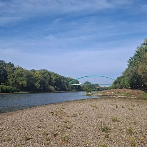 Situația hidrologică a cursurilor de apă din arealul Someș-Tisa