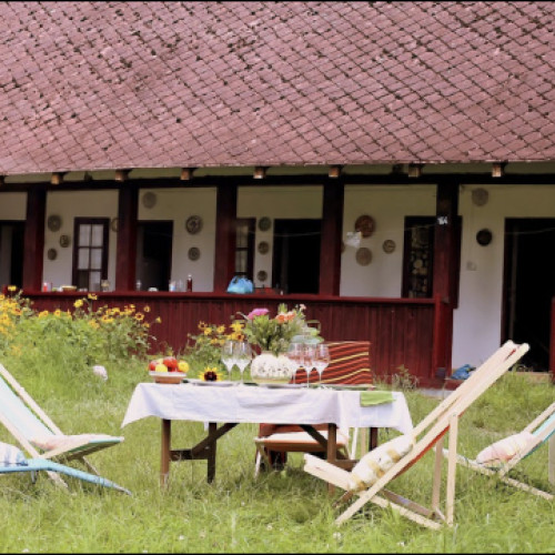 O proprietate istorică din Argeș, "Conacul George Stephanescu", scoasă la vânzare