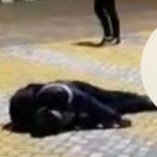 Incidente violente pe strada Petru Rareș: un bărbat a fost arestat