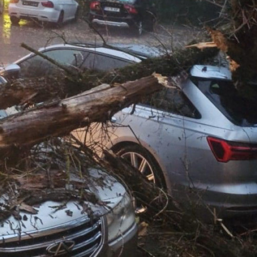 Furtună violentă la Iași: zeci de apeluri la 112 din cauza pagubelor
